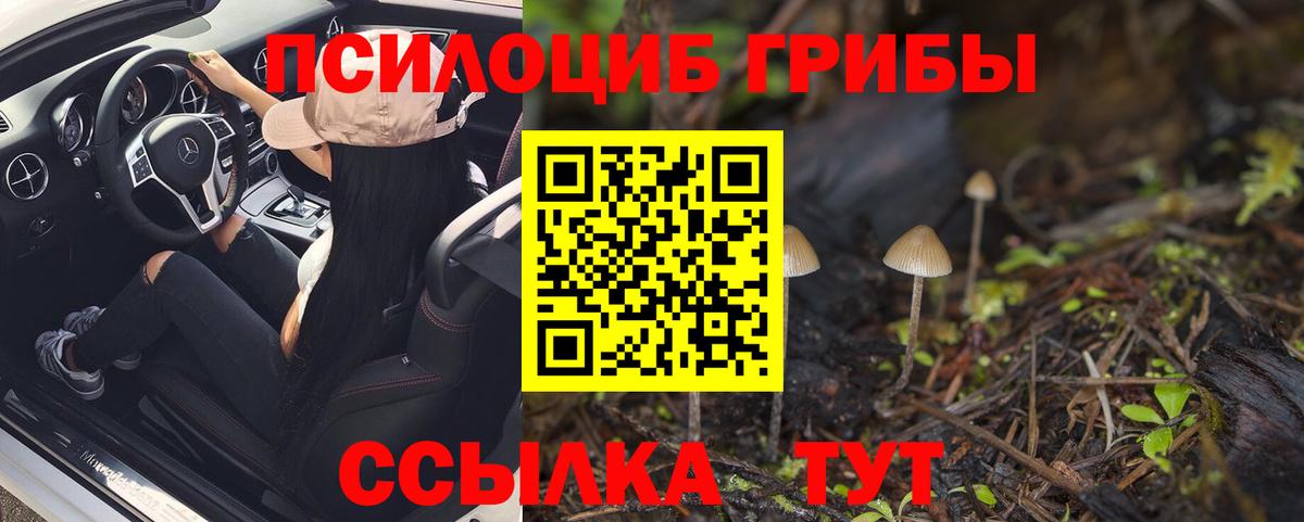 Псилоцибиновые грибы Psilocybe  цена наркотик  Родники  Вход с VPN 